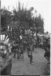 Pig festival, pig sacrifice, Tsembaga: people below ritual fence, man at top calls names of allies for presentation of salted pork