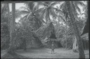 Houses (1) : Maprik, Papua New Guinea,1959 / Terence and Margaret Spencer