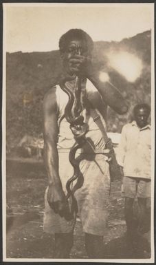 Snakes at Lalati, Beqa Island, May 1929