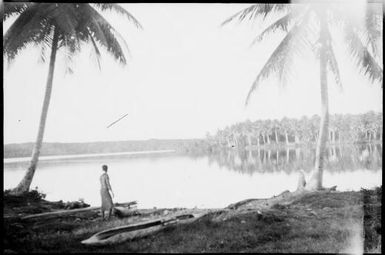 Man standing between two beached canoes with a palm tree covered headland in middle distance, Madang, New Guinea, ca. 1935 / Sarah Chinnery