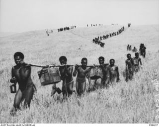 RAMU VALLEY, NEW GUINEA, 1943-10-03. CHIMBU AND BENA NATIVE CARRIERS ARRIVING AT THE 2/7TH AUSTRALIAN INDEPENDENT HEADQUARTERS, WITH MEDICAL STORES AND RATIONS, FROM KAINANTU