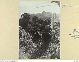 KARAWOP, AITAPE-WEWAK SECTOR, NEW GUINEA. 1945-04-29. PATROL FROM A COMPANY, 2/1 INFANTRY BATTALION AND 2/2 FIELD REGIMENT WITH KARAWOP AREA IN THE BACKGROUND