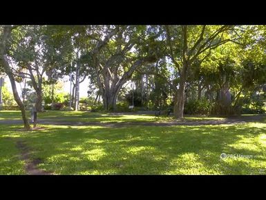 An Oasis in Downtown Honolulu