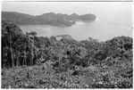 View of garden with northern end of Sinalagu Harbour from about 2000' above on trail from Ga'enaafou to Ngarinaasuru