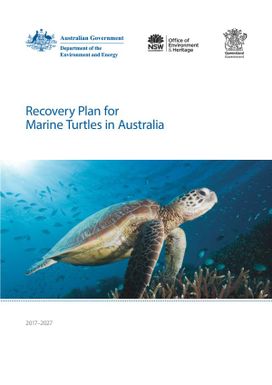 Recovery plan for marine turtles in Australia