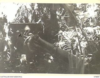 BOUGAINVILLE ISLAND. 1945-02-03. PERSONNEL OF NO 4 SECTION, NO 8 PLATOON, "A" COMPANY, 9TH INFANTRY BATTALION LOOKING OVER A CAPTURED JAPANESE 156MM GUN WHICH THEY FOUND WHILE OUT ON A PATROL. ..