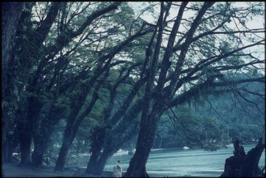 The beautiful shore line (Kieta?) (2) : Bougainville Island, Papua New Guinea, March 1971 / Terence and Margaret Spencer