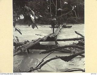 SINGORKAI - WEBBER POINT AREA, NEW GUINEA, 1944-03-21. MEMBERS OF "C" COMPANY, PAPUAN INFANTRY BATTALION CROSS OVER THE YUPNA RIVER NEAR ITS MOUTH ON LOGS LASHED TOGETHER TO FORM A ROUGH BRIDGE