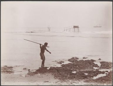 A man spear fishing on the coast of Heuru, with fishing stands and Southern Cross in background, Solomon Islands, 1906 / J.W. Beattie