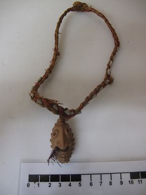 seed