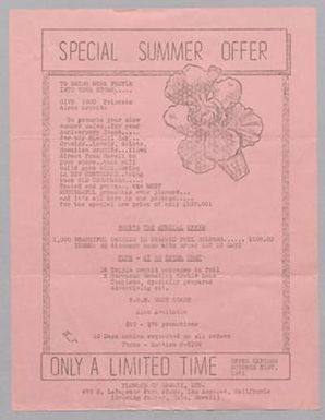 [Advertising Flyer for Flowers of Hawaii, Ltd., 1951]