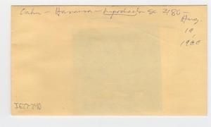 [Lipochaeta in Hawaii, envelope IE27-240]