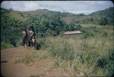 Kondiga house; typical Kanaka house : Wahgi Valley, Papua New Guinea, 1954 / Terence and Margaret Spencer