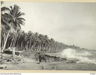 POTSDAM, NEW GUINEA. 1944-09-05. THE CAMP OF HEADQUARTERS, 25TH INFANTRY BATTALION AMONG THE COCONUT PALMS ALONG THE BEACH