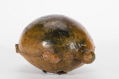 Saqa Vonu