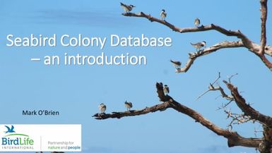 Seabird colony database - an introduction