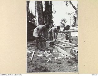 CAPE PUS, NEW GUINEA. 1945-11-03. SERGEANT S.E. BAILEY, LANCE CORPORAL W.T. FALLSHAW AND CORPORAL C. LETCHFIELD, MEMBERS OF 2/2 INFANTRY BATTALION WORKING ON A SKIFF WHICH THEY WILL ENTER IN THE ..
