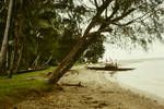 Coastal scene, Liap School area, New Ireland, Apr 1965
