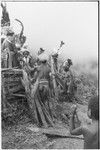 Pig festival, pig sacrifice, Tsembaga: ending the festival, fight magic men dig up cordyline roots buried at gate to dance ground