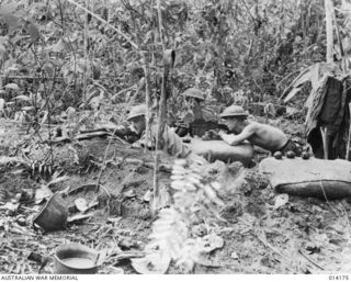 1943-01-22. PAPUA. A FORWARD SECTION POST IN THE SANANANDA AREA OF 2/7TH CAVALRY REGIMENT. LEFT TO RIGHT: TROOPERS K. MUIRY (OR R. FLINT?), G. SCOTT, TOM MACADIE (OR G. WHITE?)