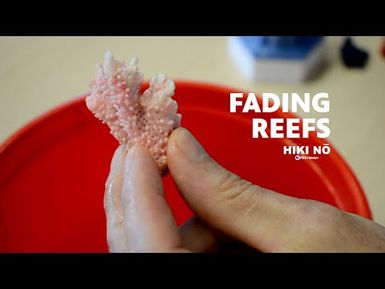 Caring for Coral — What Hawai‘iʻs Reefs Are Really Saying | HIKI NŌ - PBS HAWAIʻI