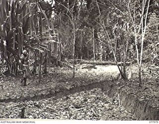 WUNUNG PLANTATION, NEW BRITAIN. 1944-12-30. A SECTION OF THE CONTOUR DRAIN USED TO DRY OUT A LARGE SEEPAGE AREA IN THE PLANTATION DUG BY PERSONNEL OF THE 28TH MALARIA CONTROL UNIT ATTACHED TO ..