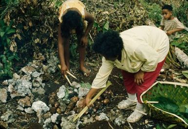 Canoe Making in Niue