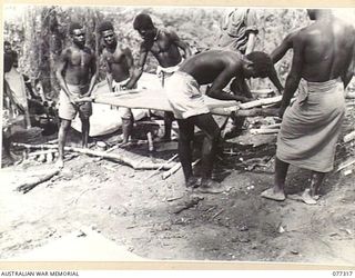 TOROKINA AREA, BOUGAINVILLE ISLAND. 1944-11-29. NATIVES CONSTRUCTING STRETCHERS FOR THE EVACUATION OF CASUALTIES DURING THE ATTACK BY D COMPANY, 9TH INFANTRY BATTALION, ON LITTLE GEORGE HILL