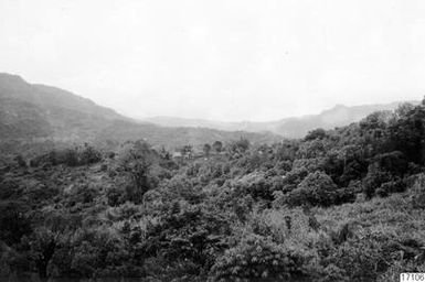 ["skog, landskap, by, berg, fotografi, photograph"]