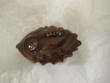 seed pod