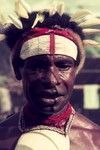 Man decorated for pig festival, wears nassa shells and a baler shell ornament, headband with bandanna, trade beads, cockatoo feathers, and marsupial fur