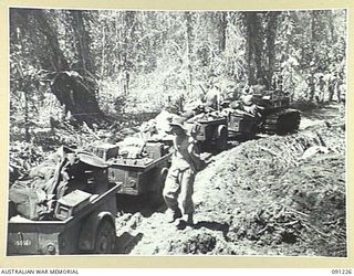 BOUGAINVILLE, 1945-04-26. A TRACTOR TRAIN MOVING ALONG BUIN ROAD LOADED WITH RATIONS, AMMUNITION AND BARBED WIRE FOR C COMPANY, 24 INFANTRY BATTALION, FORWARD OF THE SINDOU RIVER