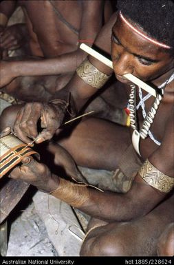 Outlining designs painted on a bark belt in preparation for a dance, using a quill, chewed at one end, as a brush