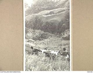 FINISTERRE RANGES, NEW GUINEA. 1944-01-23. NATIVES CARRYING A STRETCHER CASE DOWN A STEEP SLOPE FROM SHAGGY RIDGE, ON THE WAY TO THE ADVANCED DRESSING STATION AT GUY'S POST DURING THE ATTACK ON THE ..