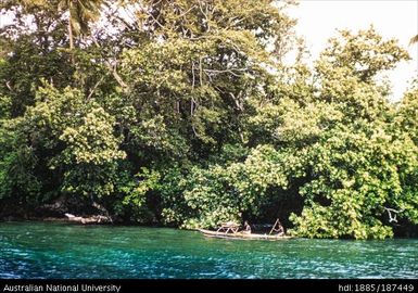 Madang Islands in lagoon