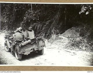 FINSCHHAFEN AREA, NEW GUINEA, 1943-10-25. ANOTHER ENTRANCE TO A JAPANESE DUGOUT ON THE MAPE RIVER ROAD