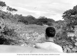 Richard Billings riding on the bumper of a jeep used for research on Enjebi Island, summer 1964