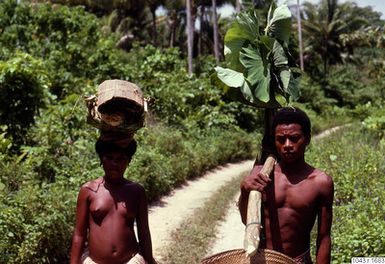 ["fotografi, photograph"]