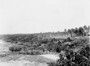 Martin, Josiah, 1843-1916 : The landing place, Alofi, Niue