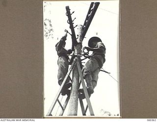 SOGERI, NEW GUINEA. 1943-11-20. QX49491 SIGNALMAN J. H. GRAY (LEFT) AND N246152 SIGNALMAN C. A. MAIDEN (RIGHT), STUDENTS AT THE SCHOOL OF SIGNALS, NEW GUINEA FORCE ERECTING TELEGRAPH LINES AS PART ..