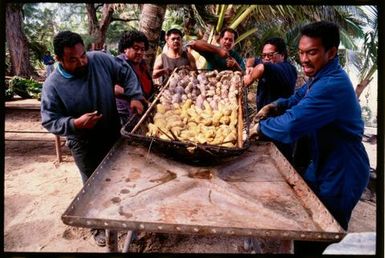 Six men preparing a banquet, Cook Islands