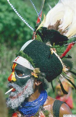 ["halsband, ansiktsmålning, huvudbonad, fotografi, photograph"]