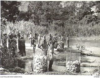 IP RIVER, NEW BRITAIN. 1945-02-07. TROOPS OF THE 12TH FIELD COMPANY AND THE 14/32ND PIONEER BATTALION BUILDING A BRIDGE OVER THE RIVER