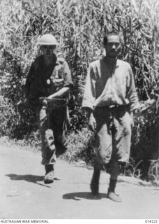 1943-01-26. NEW GUINEA. AUSTRALIAN INFANTRY MAN BRINGING IN JAP PRISONERS, SOMEWHERE INNEW GUINEA. (NEGATIVE BY BOTTOMLEY)