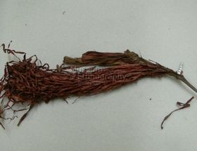 Levéldísz karkötőbe