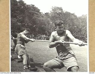 ELA BEACH, NEW GUINEA. 1943-11-13. V504956 PRIVATE J. BRADLEY (LEFT) AND VX122951 PRIVATE R. J. THOMAS (RIGHT) MEMBERS OF THE 33RD AUSTRALIAN EMPLOYMENT COMPANY TUG OF WAR TEAM, TAKE THE STRAIN ..