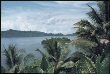 Kieta Harbour (1) : Bougainville Island, Papua New Guinea, March 1971 / Terence and Margaret Spencer