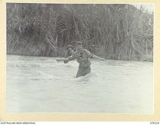 DANMAP RIVER, NEW GUINEA. 1945-01-06. TROOPS OF THE 19TH INFANTRY BRIGADE SIGNALS LAYING WIRES ACROSS THE FLOODED RIVER IN THE AREA CONTROLLED BY THE 2/2 AUSTRALIAN FIELD COMPANY