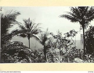 MILNE BAY, NEW GUINEA. 1944-07-19. THE TYPE OF JUNGLE COUNTRY WHERE QX1071 CORPORAL J.A. FRENCH VC, 2/9TH INFANTRY BATTALION, WON HIS POSTHUMOUS AWARD. THIS IMAGE JOINS PHOTOGRAPHS NO. 74702 AND ..