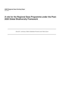 A role for the Regional Seas Programme under the post 2020 Global Biodiversity Framework